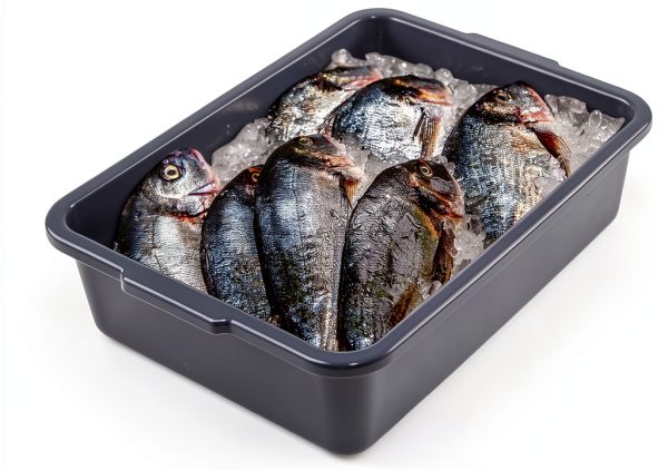 8 L Plastic Bus Tubs by Vcansayer 5-Pack Commercial Food Service Box-3