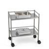 2 Pcs Stainless Steel Bus Tubs with Lid 4" Deep Meat Commercial Tote-1